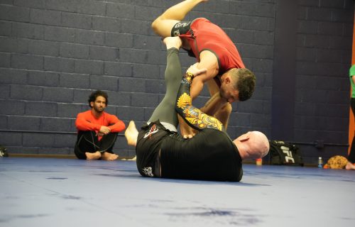 Novi grappling academy