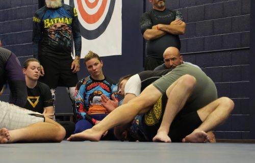 Novi grappling academy